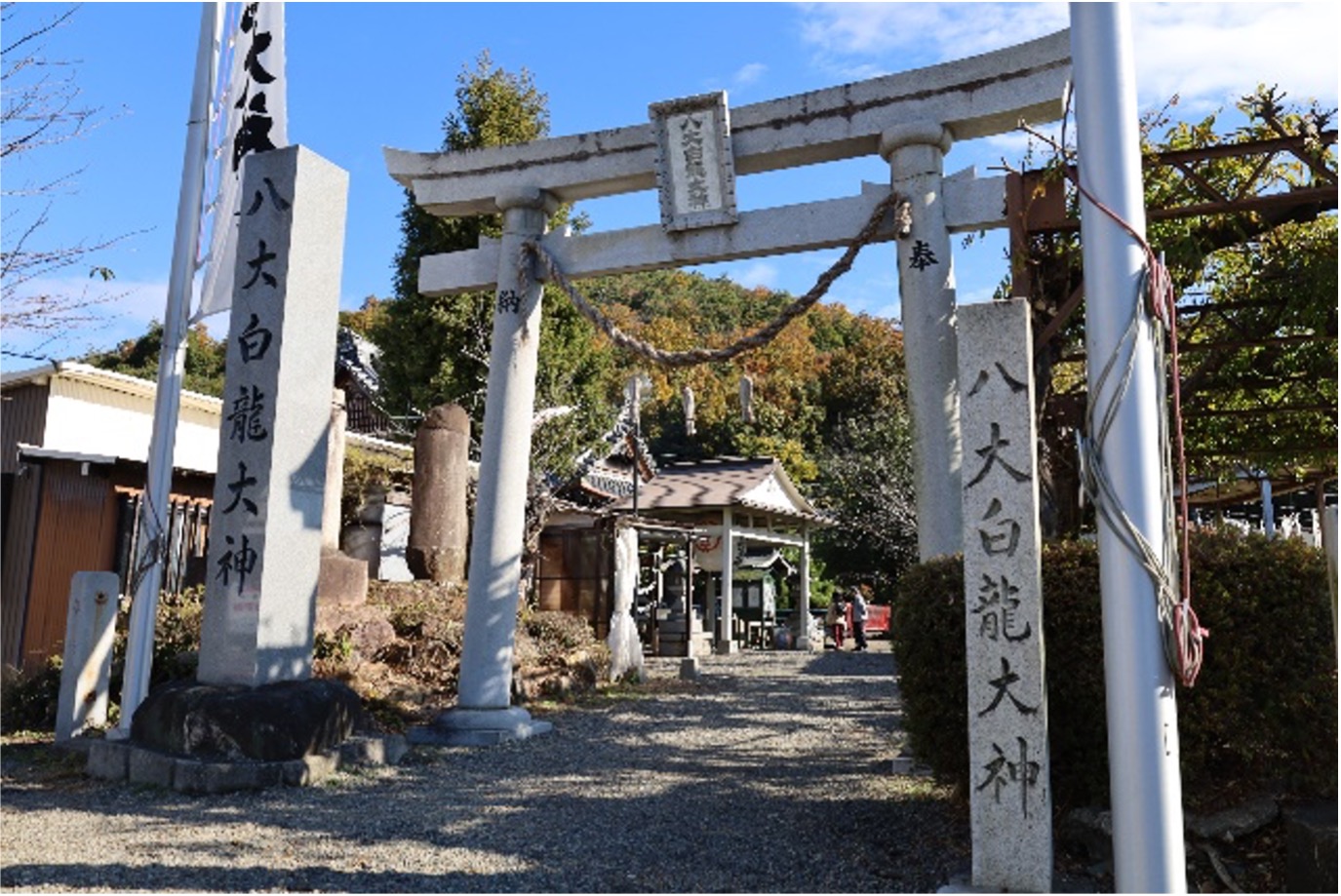 守り神 白蛇大明神 双頭巳之神 御神体 白ヘビ 厨子 2025年巳年